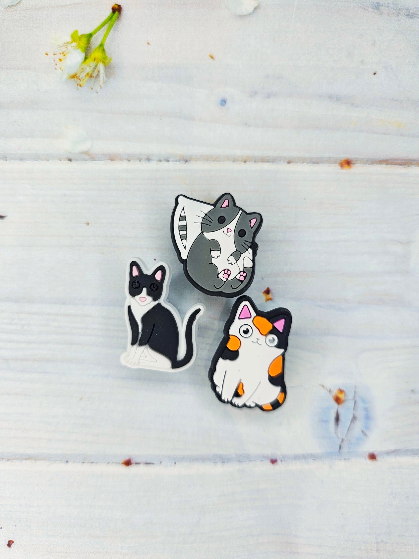 Cat shoe charms